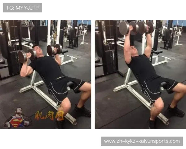 飞鸟动作：提升胸部力量的最佳健身器材使用指南