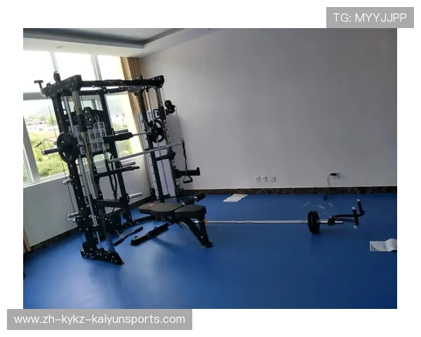 运动公园综合训练器材生产厂家名录